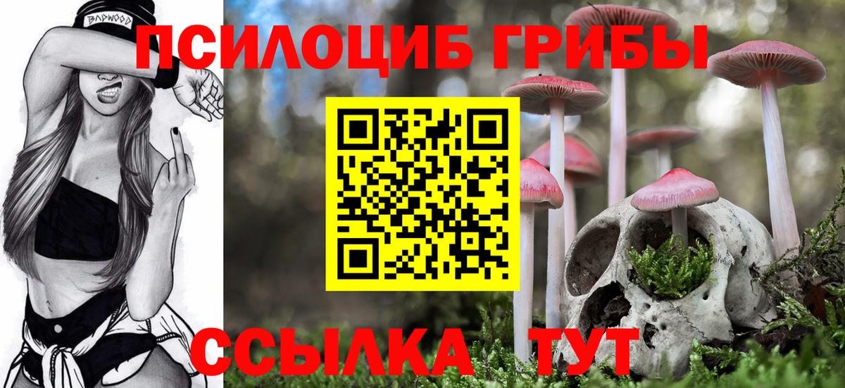 Мыски  Псилоцибиновые грибы Magic Shrooms  где купить   Вход с VPN 