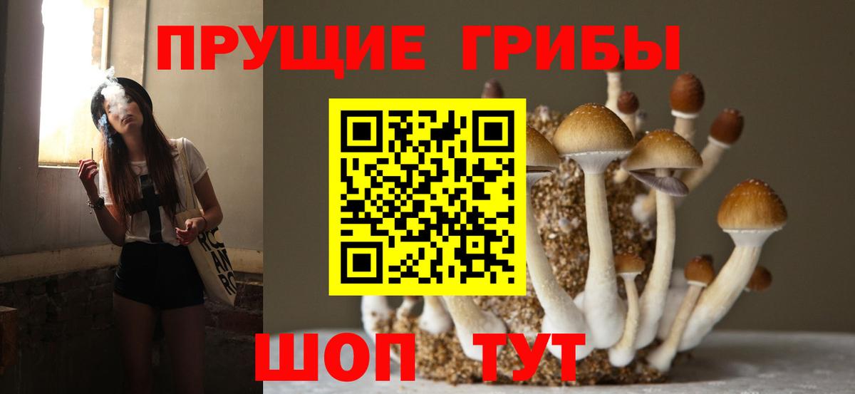 Галлюциногенные грибы ЛСД Мыски
